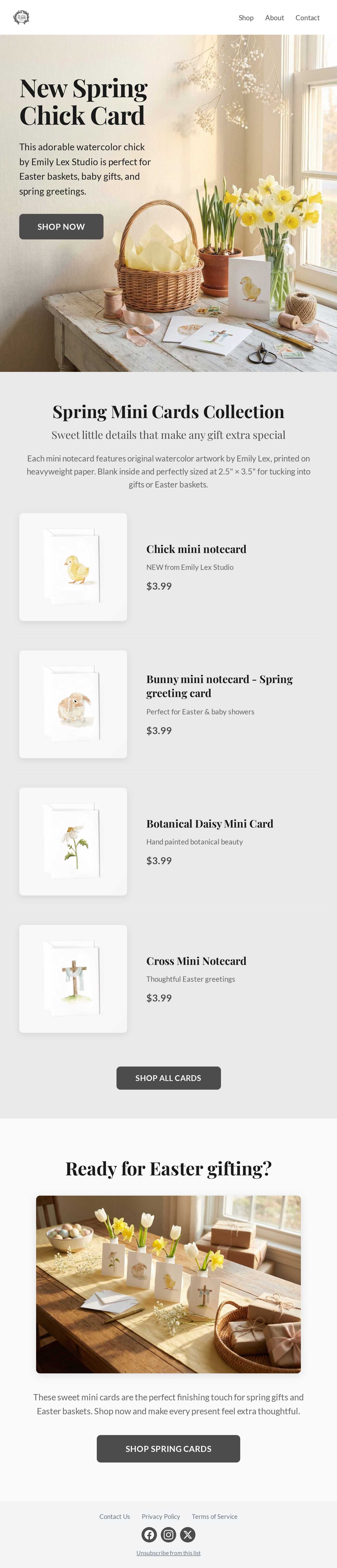 new spring chick card